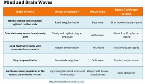 mind & brain waves