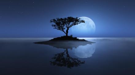 full-moon-night-nature